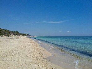 A beach with clear turquoise water, sandy shore, and sparse vegetation. - Villa Sofia - San Pietro in Bevagna (San Pietro In Bevagna)