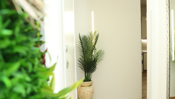 A hallway with a tiled floor, a large potted plant, and a white door. - La casetta sul mare (San Lucido)