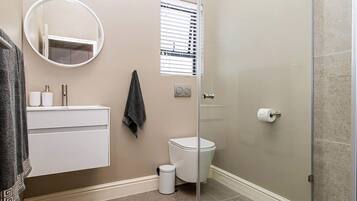 Hair dryer, towels, soap