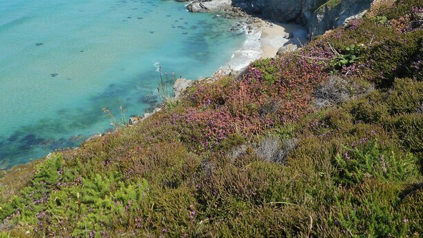 A coastal landscape with rocky cliffs, clear turquoise waters, and a sandy beach. - Fabulous position a sandy beach and stunning coastal walks. Family friendly. (Truro)