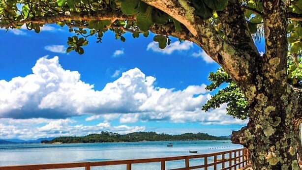 Une terrasse en bois avec un banc incurvé, donnant sur une étendue d’eau calme et une côte lointaine.