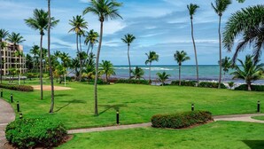 A well-maintained lawn with palm trees, a pathway, and a view of the ocean. - Crescent Beach by Otium (Humacao)