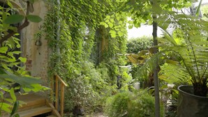 A lush garden with a wooden staircase leading to a brick wall, surrounded by various plants and greenery. - Retiro Park Industrial House (Madrid)