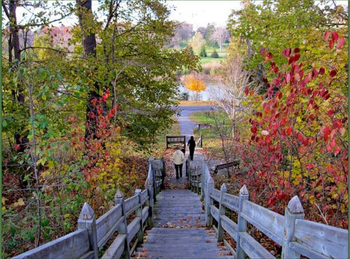 Chic Stay in Wortley – Walk to Downtown & Parks