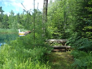 Ein bewaldetes Gebiet mit einem hölzernen Picknicktisch und einem Kanu auf einem ruhigen See.
