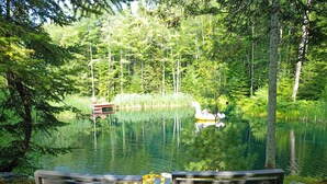 Un entorno tranquilo junto al lago con dos bancos de madera mirando al agua, rodeado de exuberante vegetación y altos árboles.