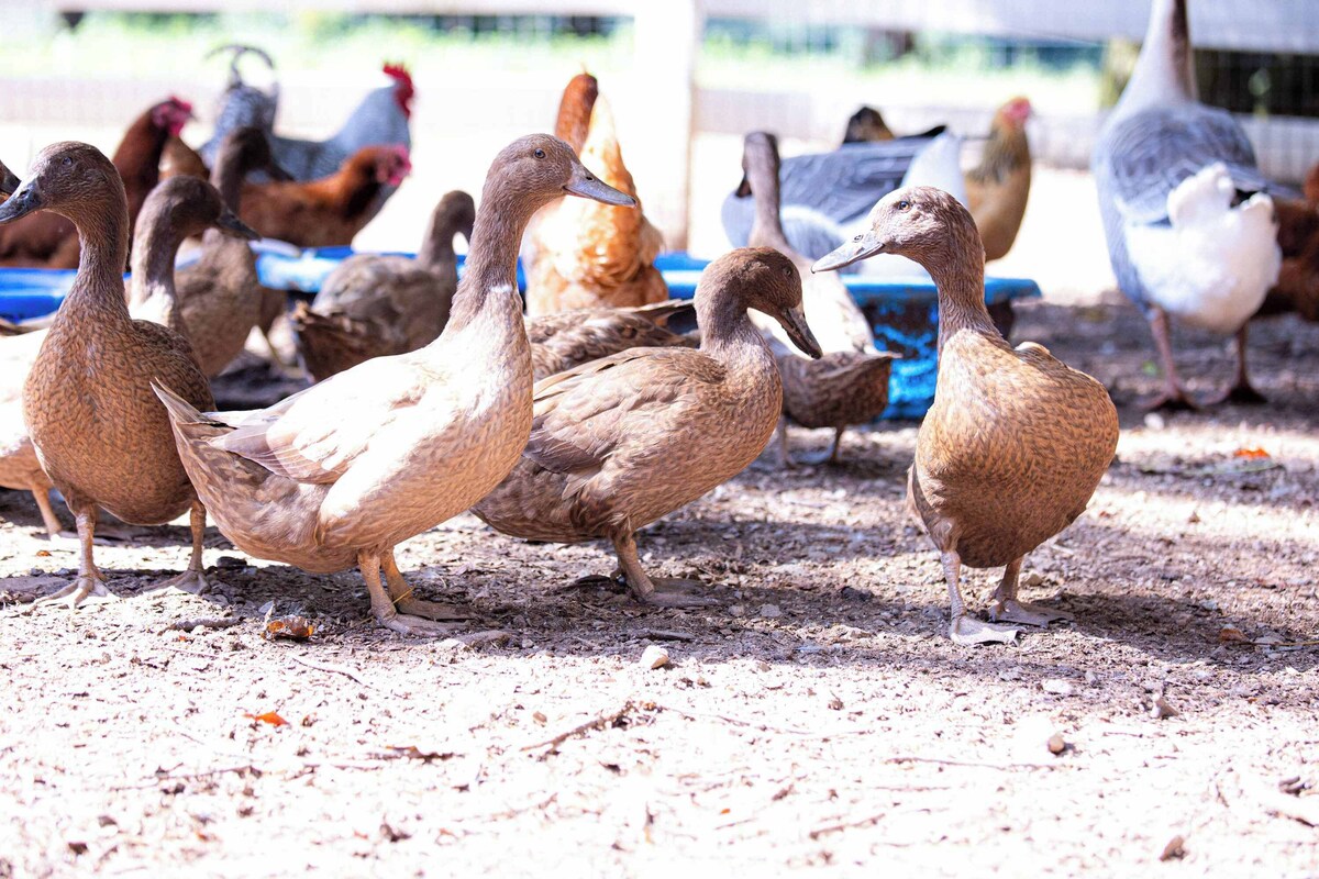 オーナーのプロフィール画像