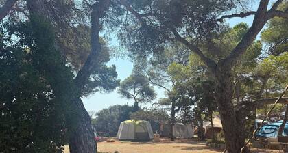 Camping Laplaya Ibiza