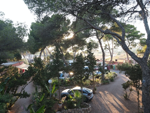 Un espace de stationnement où sont garées des voitures, entouré d’arbres et de verdure.