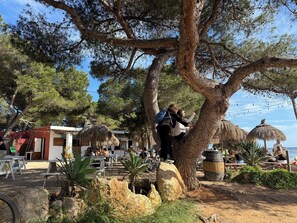 Property grounds - Camping Laplaya Ibiza (Santa Eulalia del Rio)
