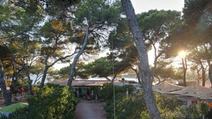 A pathway leading to a building with outdoor seating, surrounded by trees and a view of the sea. - Camping Laplaya Ibiza (Santa Eulalia del Rio)