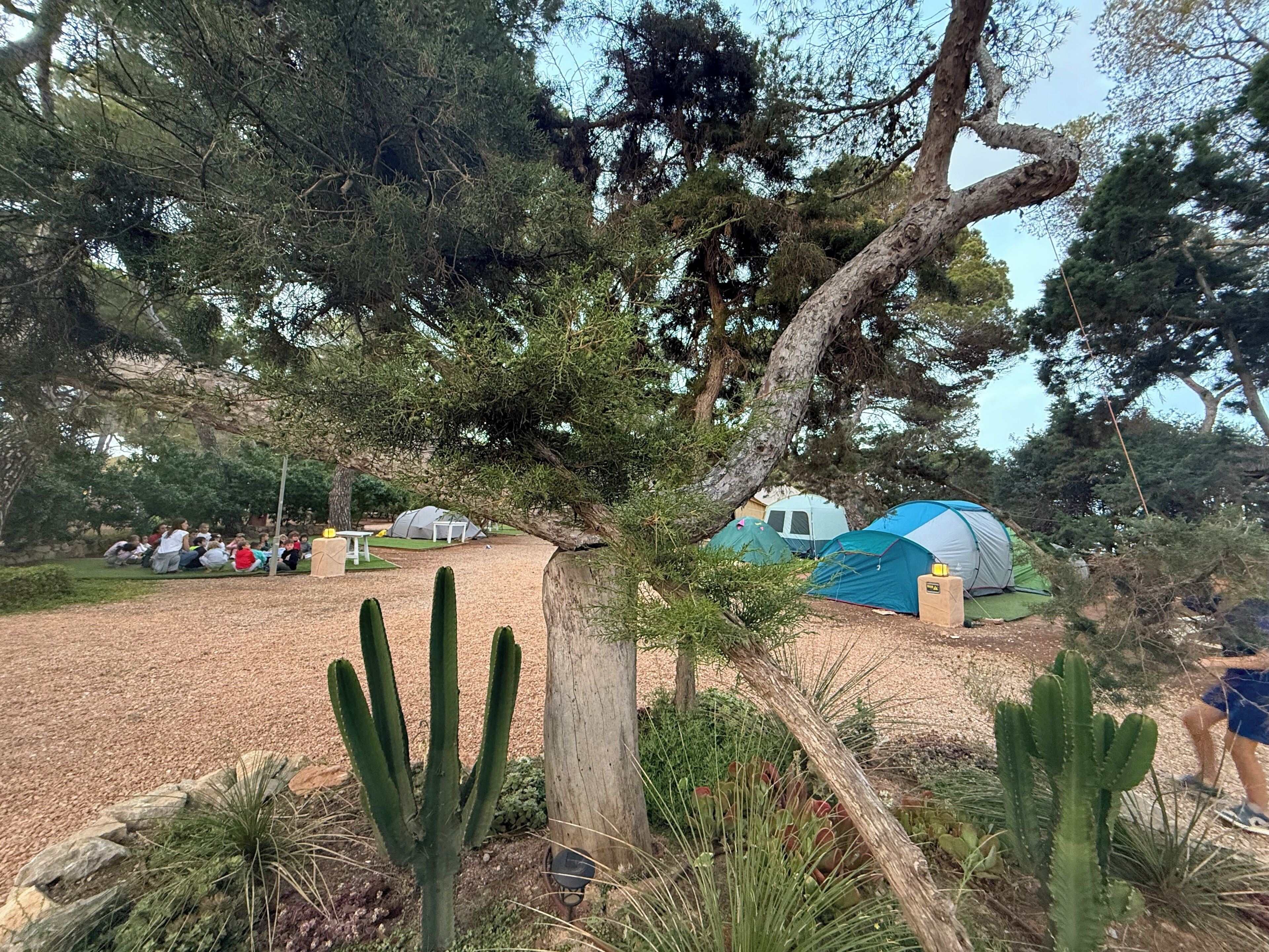 Áreas de la propiedad