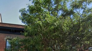 A street view with a spa and gift shop, a tree, and parked cars. - Downtown City Apartment (2–3 Guests) (Bowmanville)