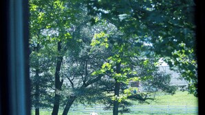 A view through a window of a grassy field with trees and a white fence. - Farm Suite, King bed, overlooking horse pasture! (Asheville)