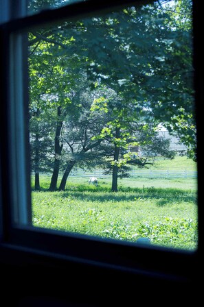Interior - Farm Suite, King bed, overlooking horse pasture! (Asheville)