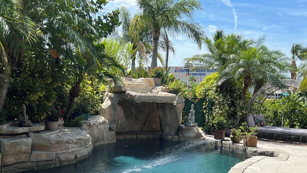 Un área de piscina con una formación rocosa, palmeras y una zona de estar.