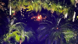Un exuberante jardín interior con un hogar central, rodeado de follaje denso y una estructura de piedra.