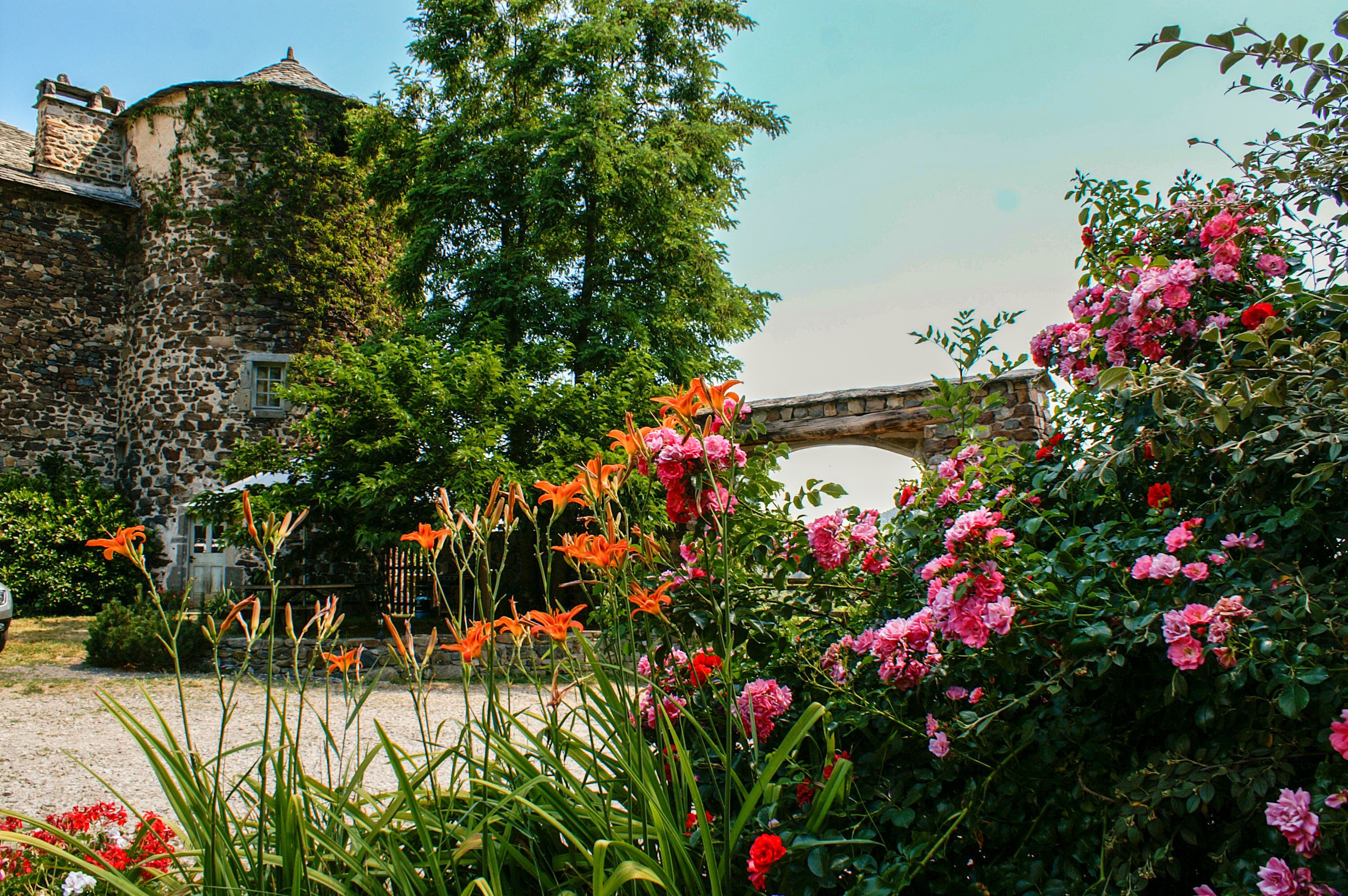 Jardines del alojamiento