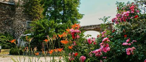 Jardines del alojamiento