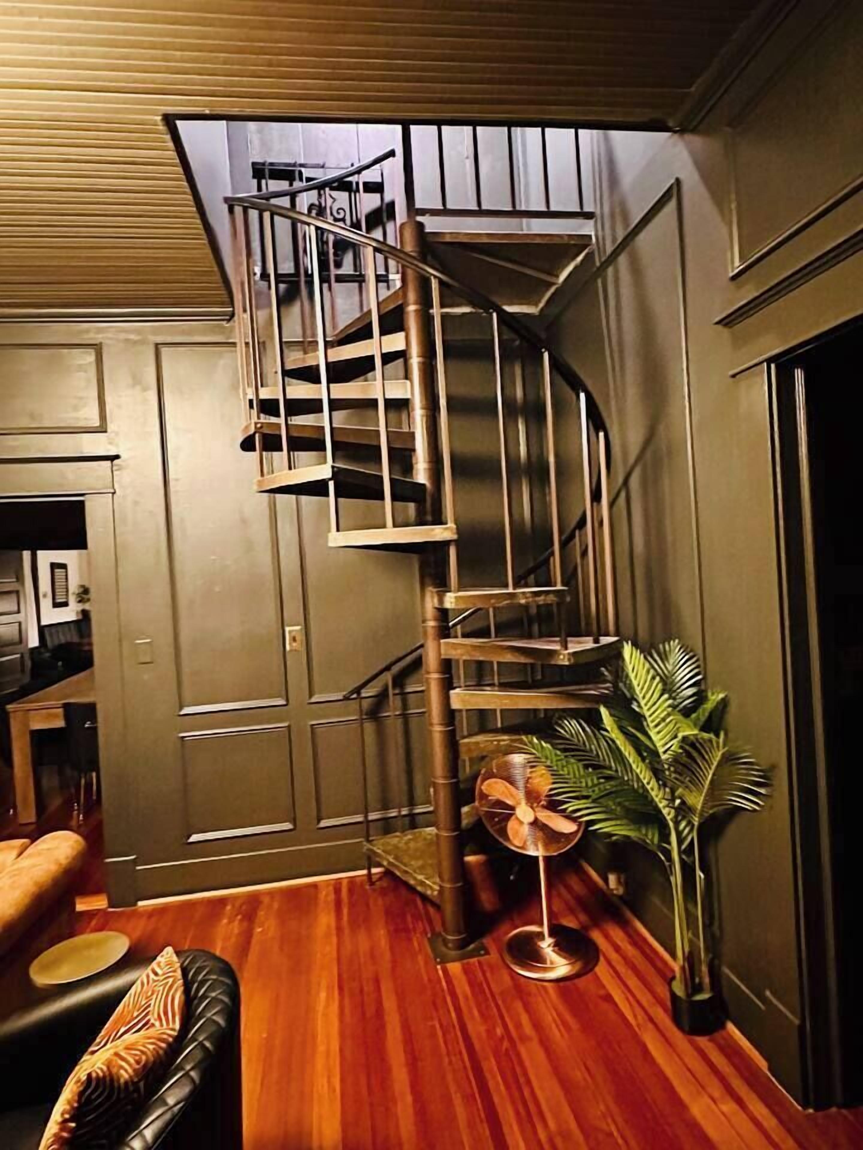 A modern interior with a spiral staircase, wooden flooring, and a potted plant.