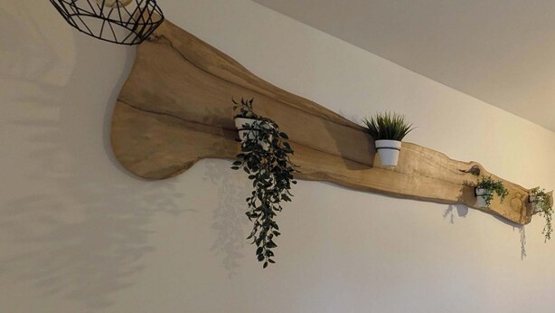 Estante de madera fijado a la pared, con plantas en macetas y una lámpara colgante.
