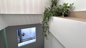 A modern interior with a window overlooking a balcony, a white wall, and a wooden shelf with plants. - Baélia Casa Sabina (Alicante)