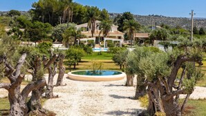 Een villa in mediterrane stijl met zwembad, omgeven door olijfbomen en een helder uitzicht op de heuvels.