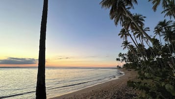 A beach with palm trees and a clear sky.
