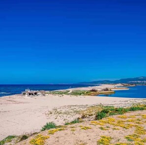 Beach - Casa Anca: Private 1BR Suite – Perfect Base for North Sardinia (Viddalba)