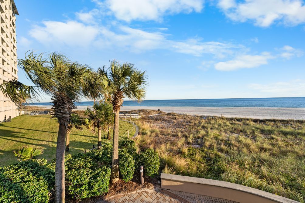 A beachfront view with palm trees and a building in the background.