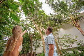 Platinum King Junior Suite | Property grounds - Platinum Tower Sandos Playacar All Inclu (Playa del Carmen)