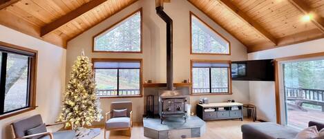 Smart TV, fireplace, video games, books