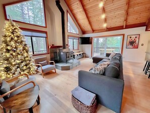 Smart TV, fireplace, video games, books