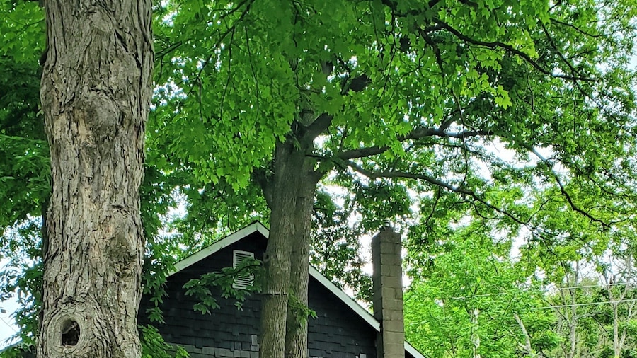 Falcon Retreats