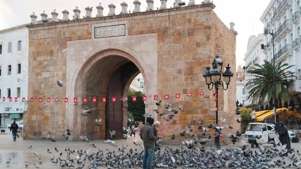 Un arco de piedra histórico con palomas en primer plano.