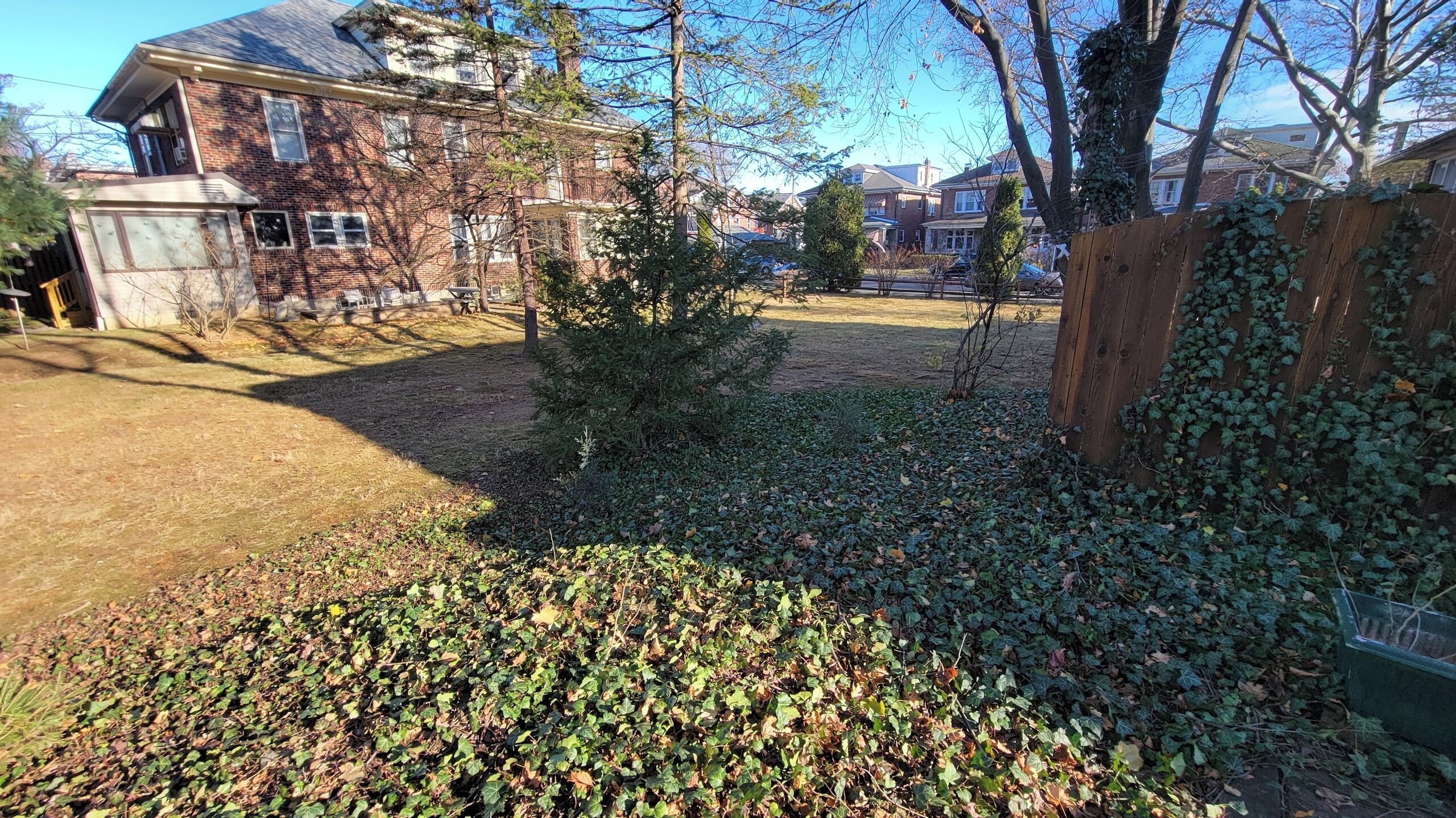 A residential backyard with a wooden fence, a small tree, and a grassy area.