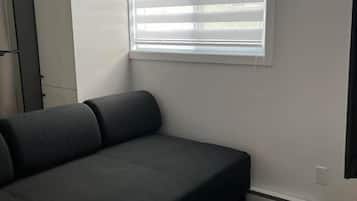 Una habitación pequeña y moderna con un sofá gris individual, una ventana con persianas, un radiador y una puerta.
