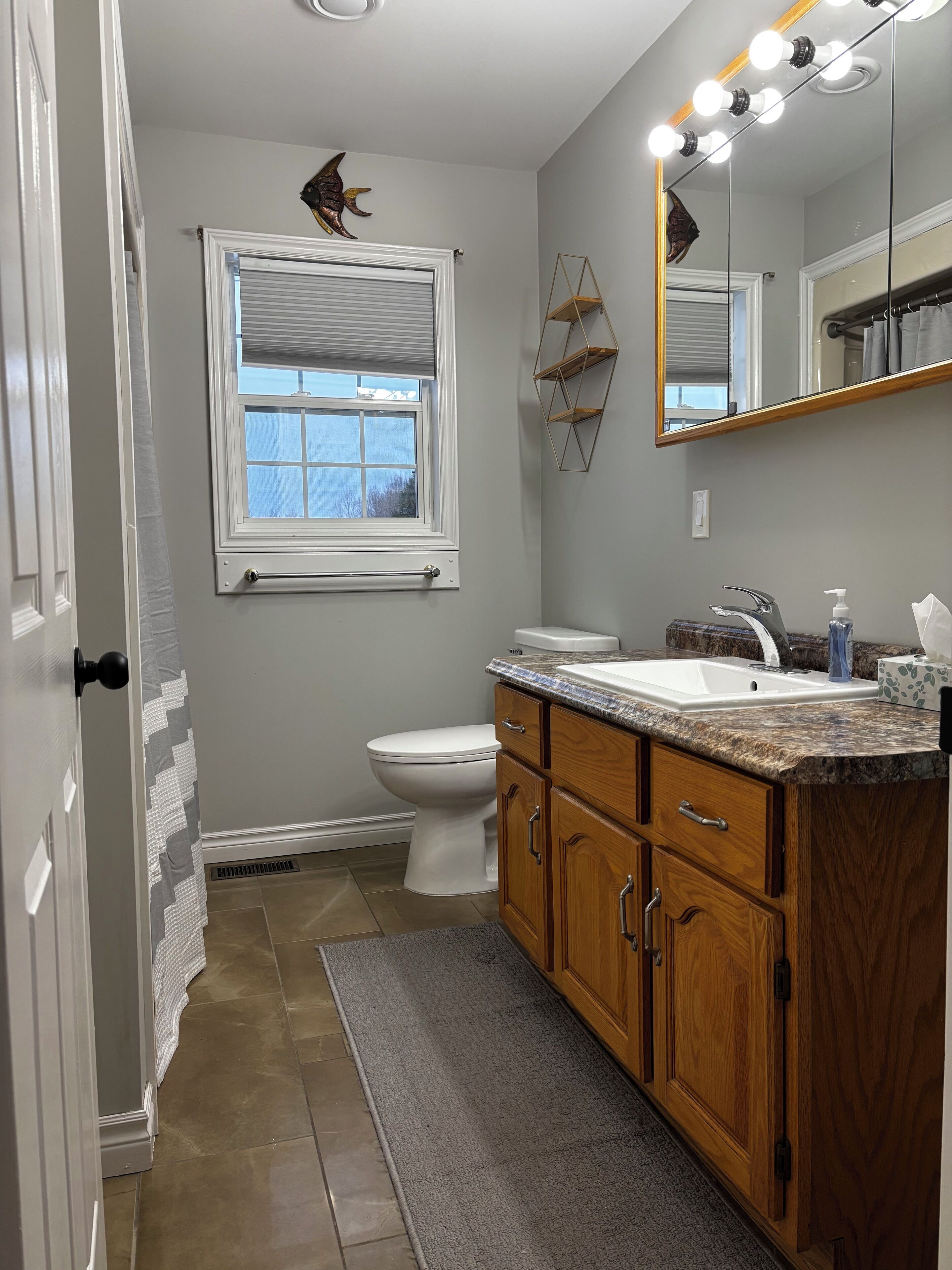 Een haardroger, handdoeken, zeep, toiletpapier