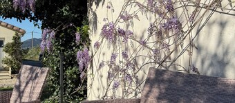 Cosy and bright gîte for rent with swimming pool 