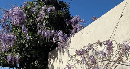 Loue gĂźte cosy et lumineux avec piscine