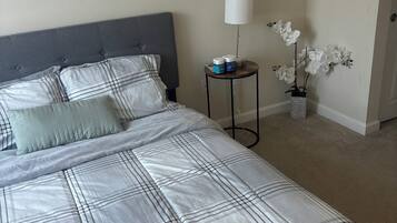 1 slaapkamer, een strijkplank/strijkijzer, wifi, beddengoed