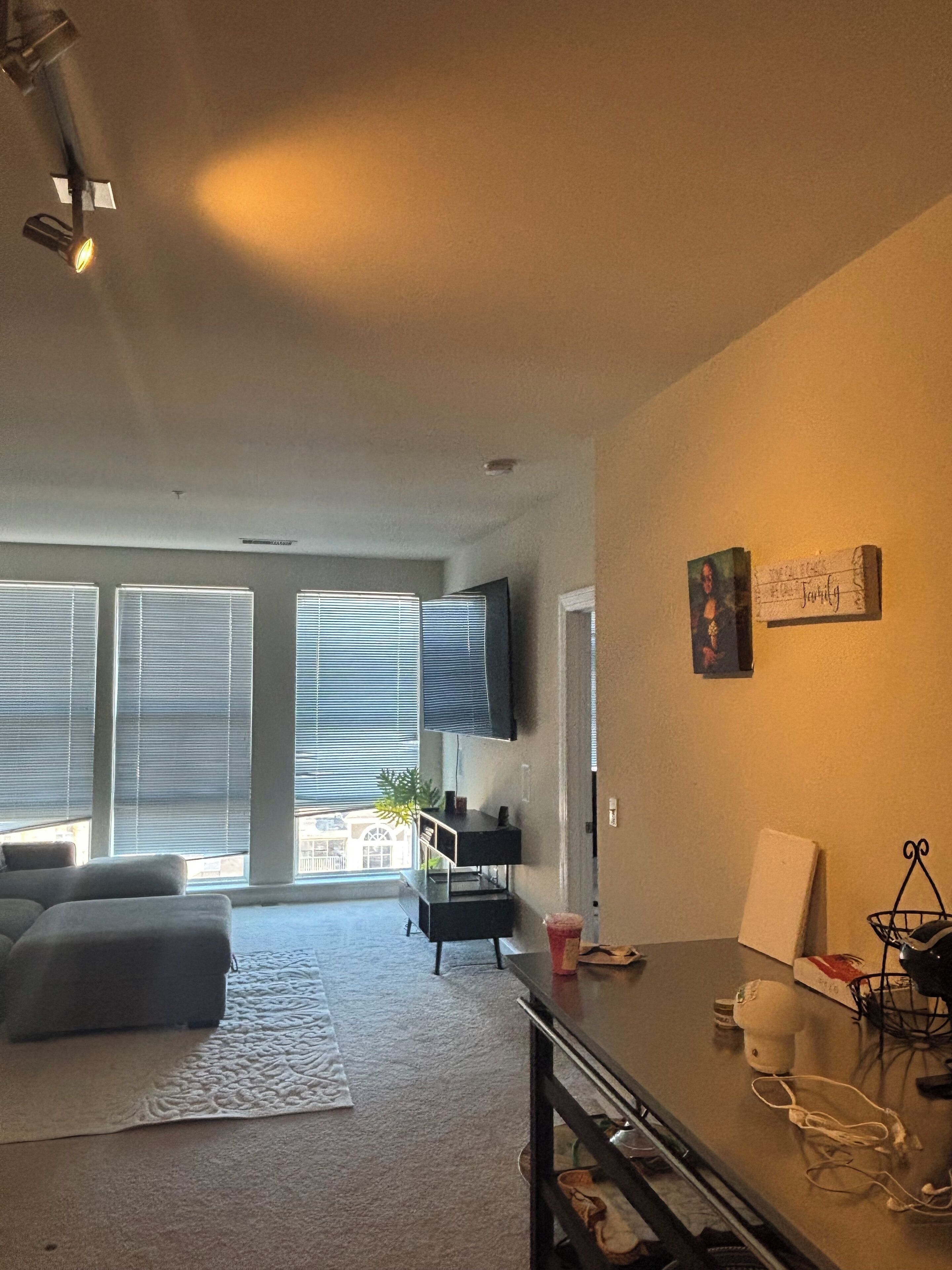 リビング エリア