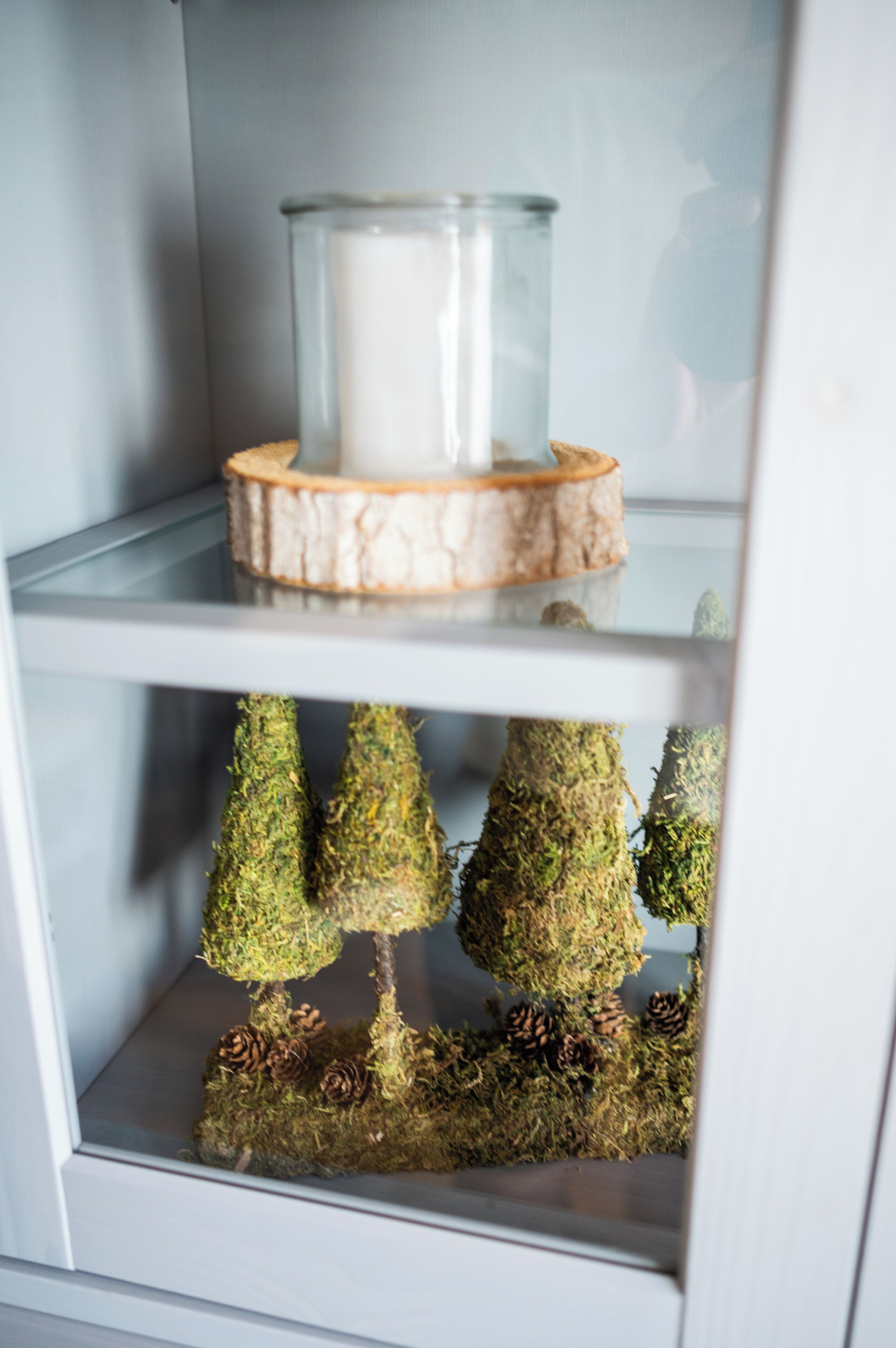 A shelf with a glass container and a wooden base, and a lower shelf with three moss-covered tree-like structures and pine cones.
