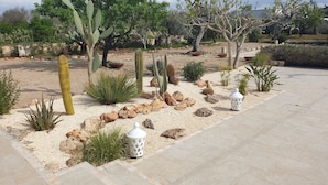 A desert garden with cacti, rocks, and a paved walkway.