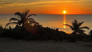 Un coucher de soleil sur une plage bordée de palmiers, avec une mer calme.