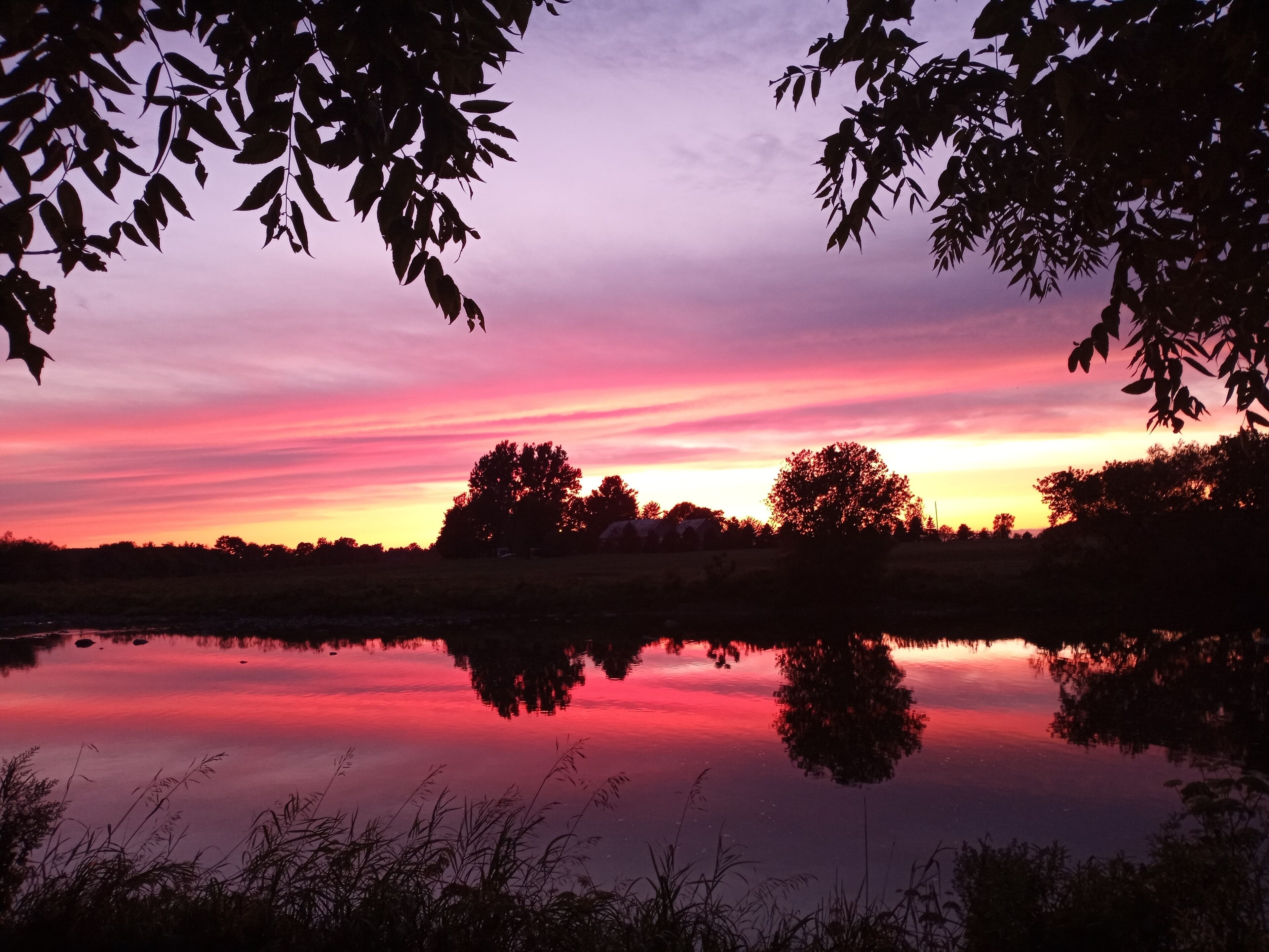 Ein Sonnenuntergang über einem ruhigen See, Bäume sind als Silhouette am Himmel erkennbar.