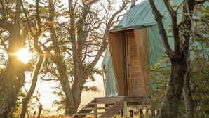 A wooden pathway leading to a building with a green roof, surrounded by trees and vegetation. - Moreno Camp - Glamping with a view (Perito Moreno)