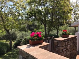 奢华村舍, 花园景观 | 住宿场地