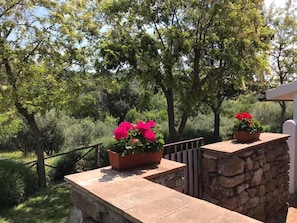 Luxury Cottage, Garden View | Property grounds - Tenuta Le Mandorlaie Agriturismo (Scansano)