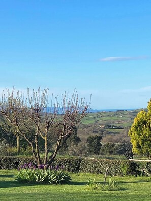 Property grounds - Tenuta Le Mandorlaie Agriturismo (Scansano)